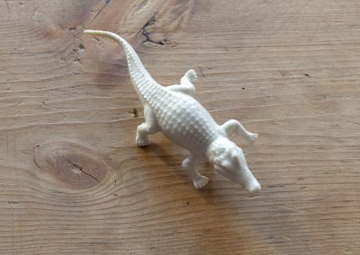 Cocodrilo / Crocodile