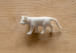 Gato / Cat