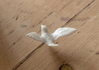 Paloma / Dove