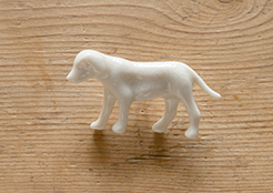 Perro / Dog